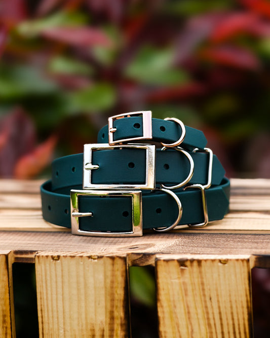 Forest - Explorer Collar