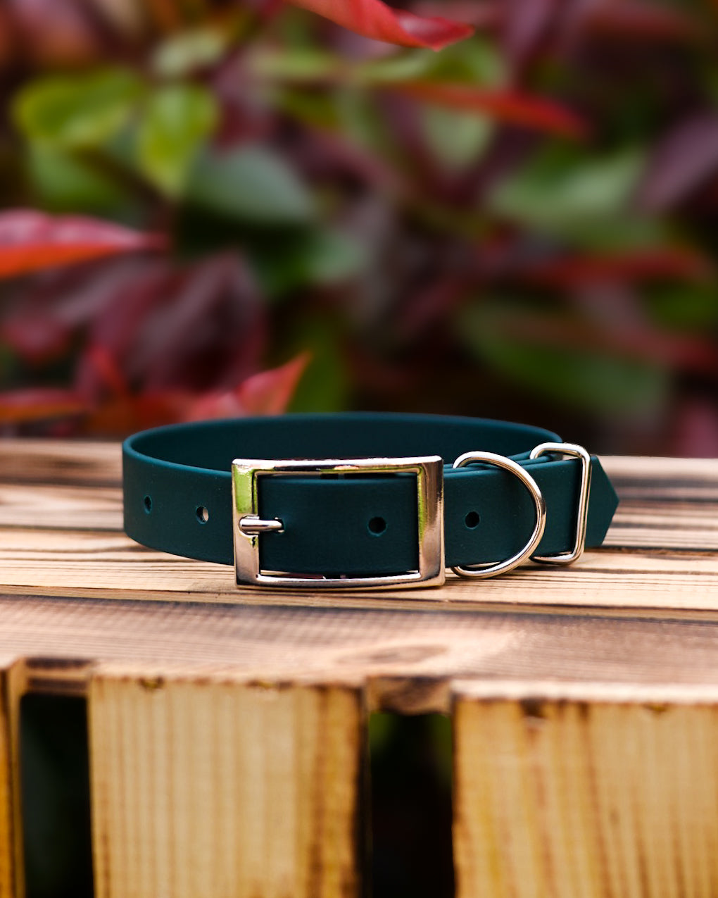 Forest - Explorer Collar