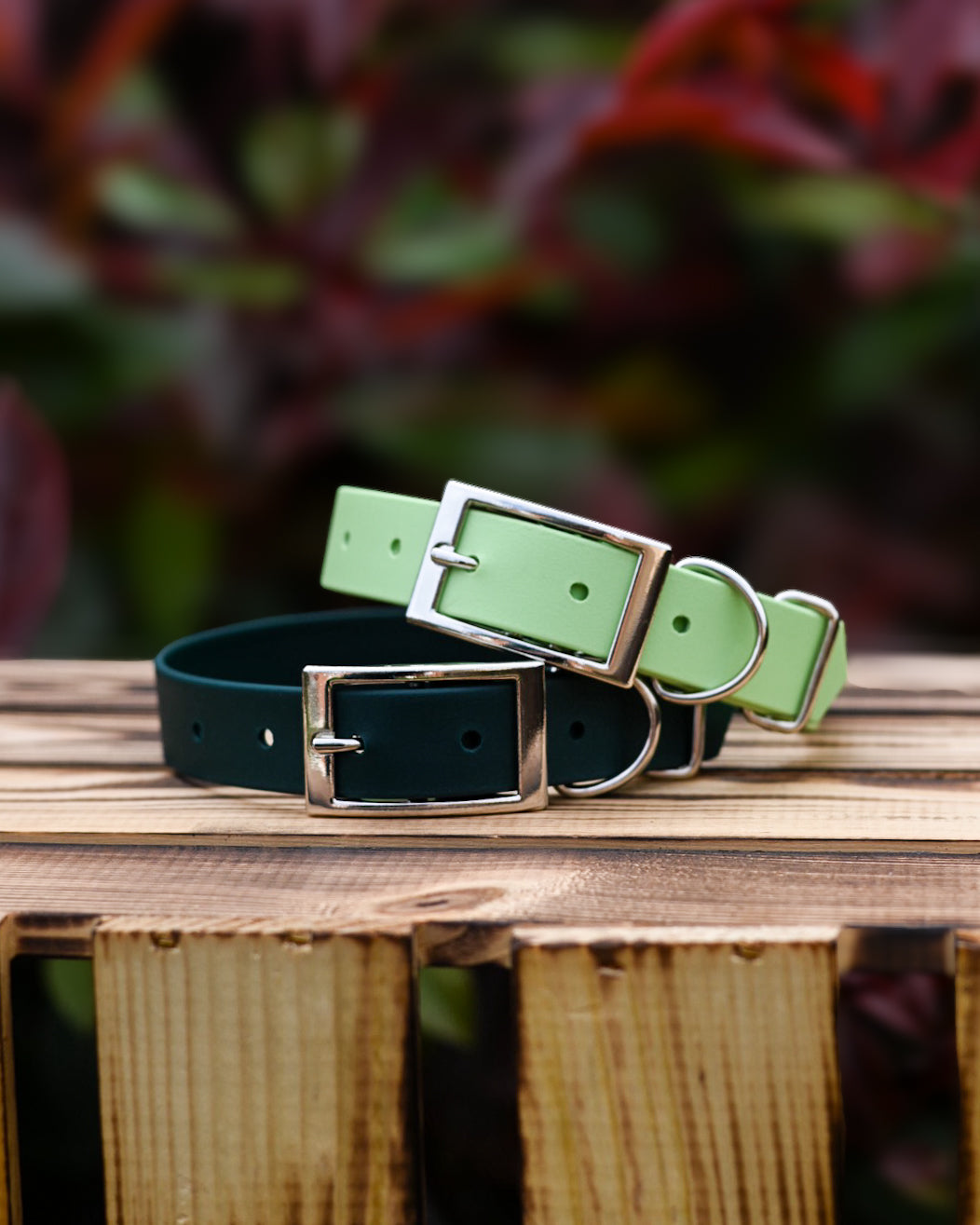Forest - Explorer Collar