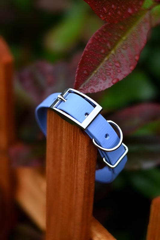 Supernova - Explorer Collar