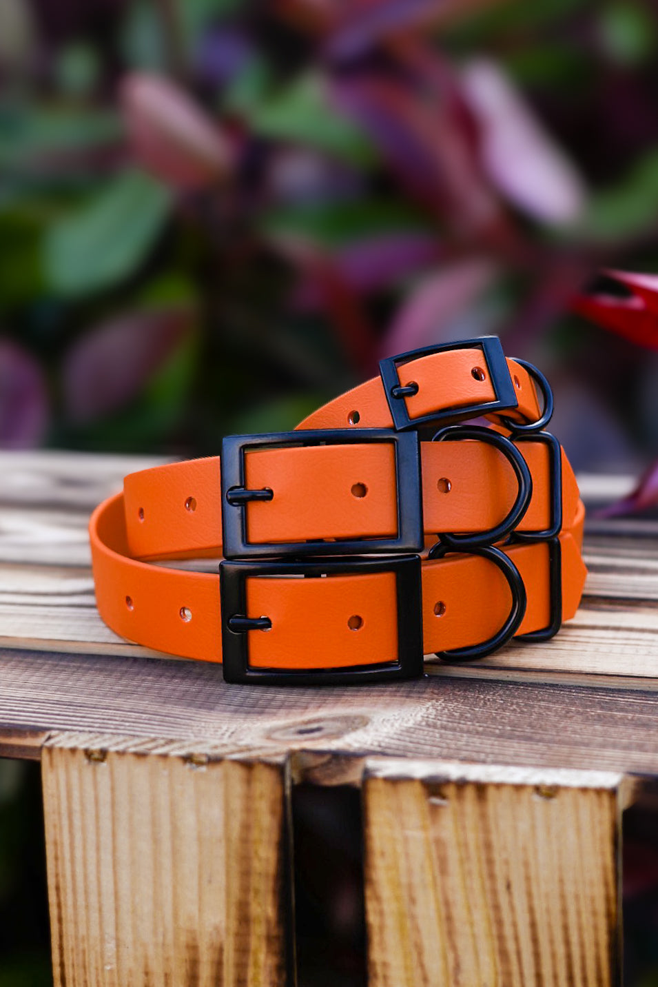 Topaz - Explorer Collar
