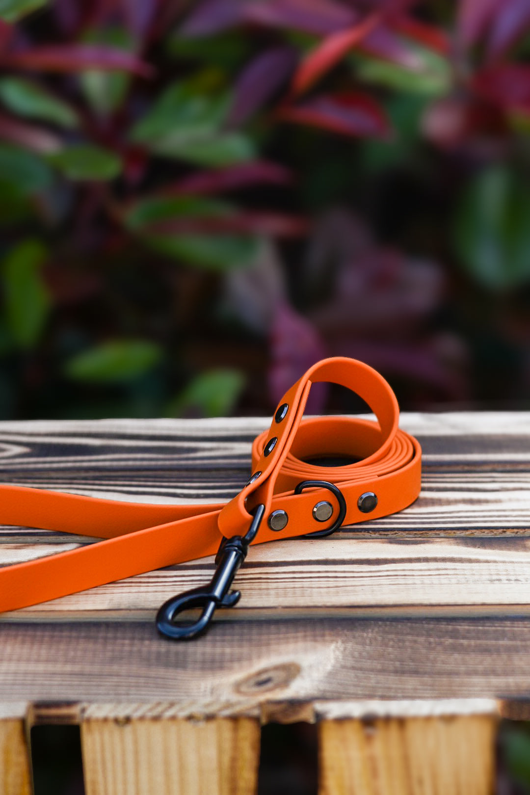 Topaz - Explorer Collar
