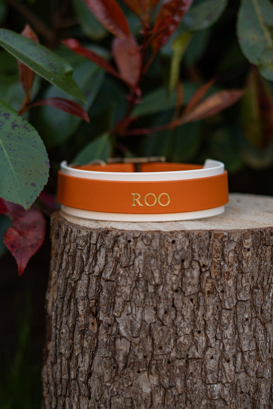 Personalised Hound Collars