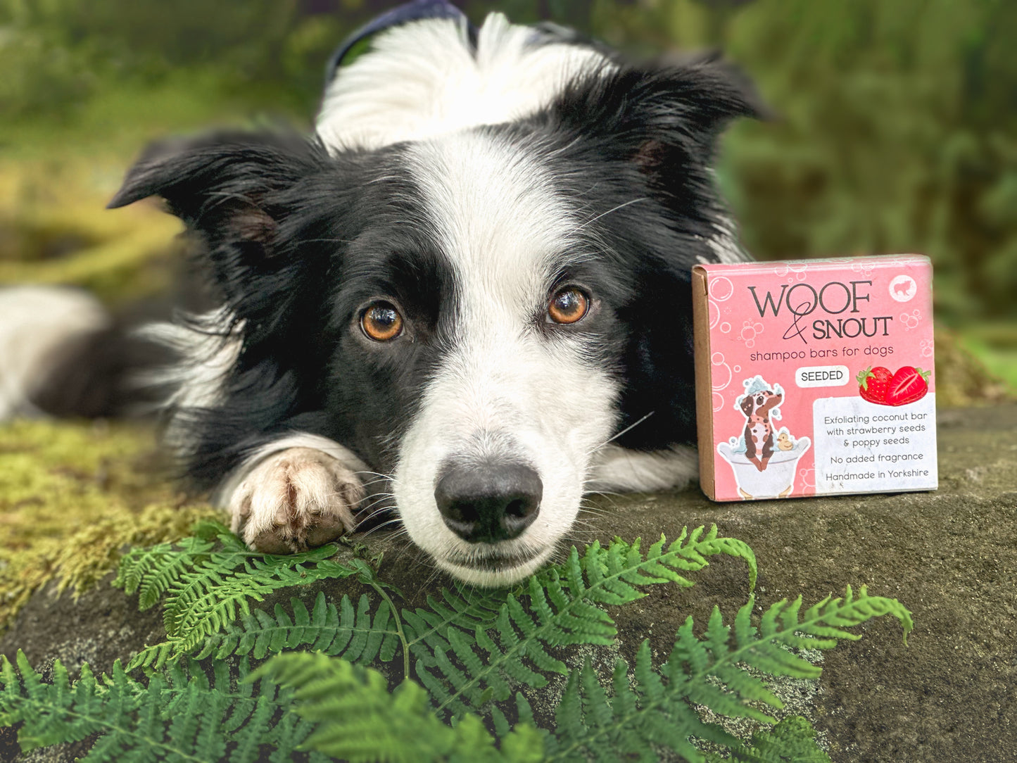 Seeded Dog Shampoo Bar