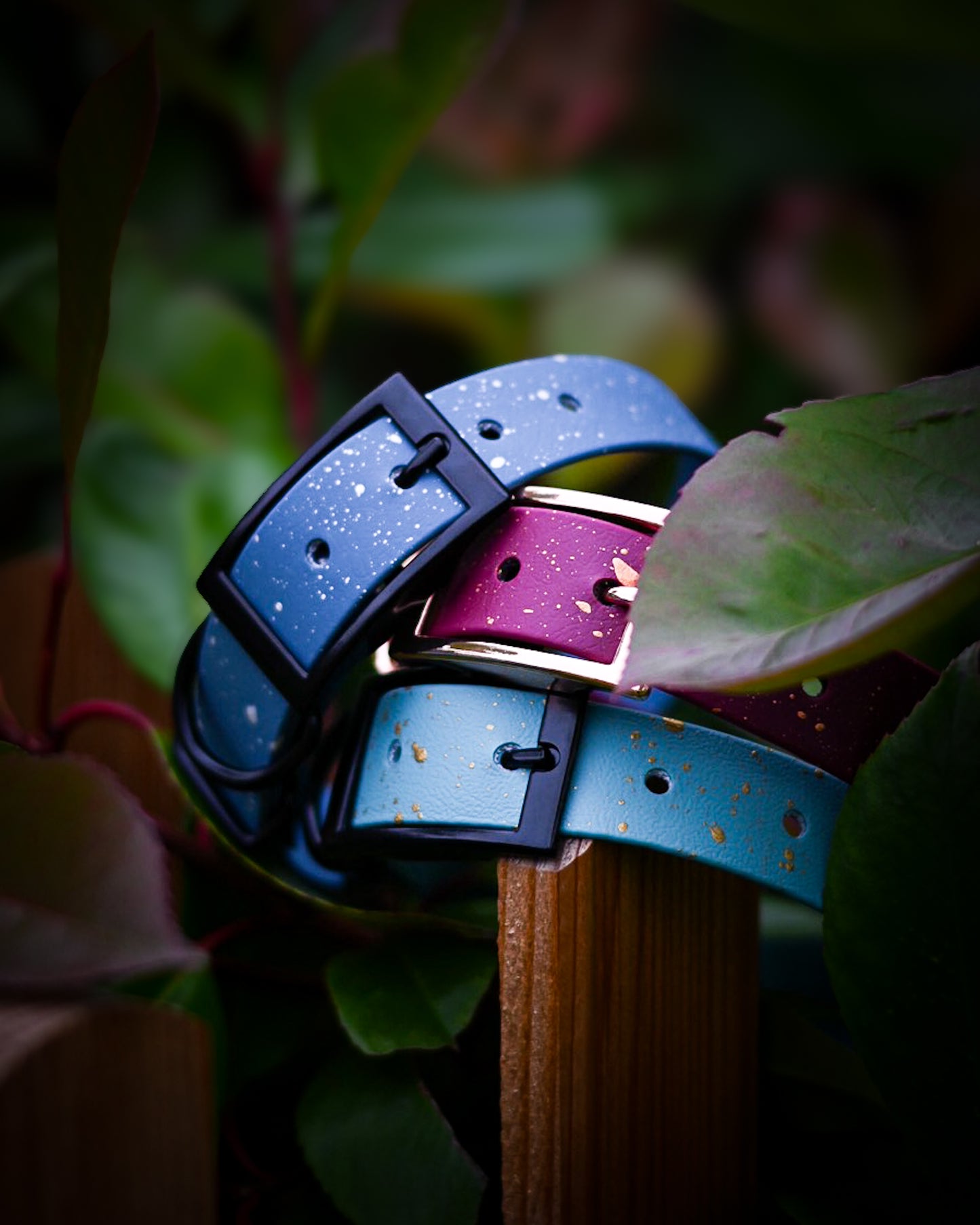 Custom Speckled Star Explorer Collar