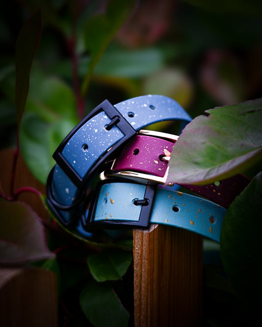 DYO Speckled Star Explorer Collar