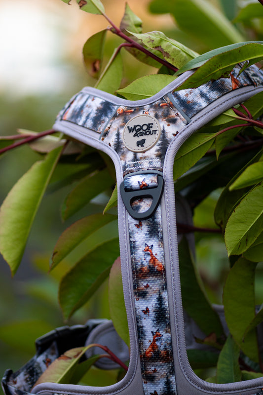 Foxes Glade Explor-Air Dog Harness (Pre-Order)