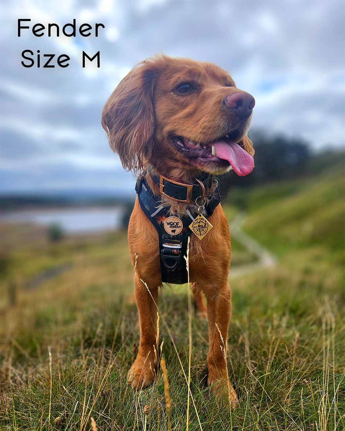 Ember Moors Explor-Air Dog Harness