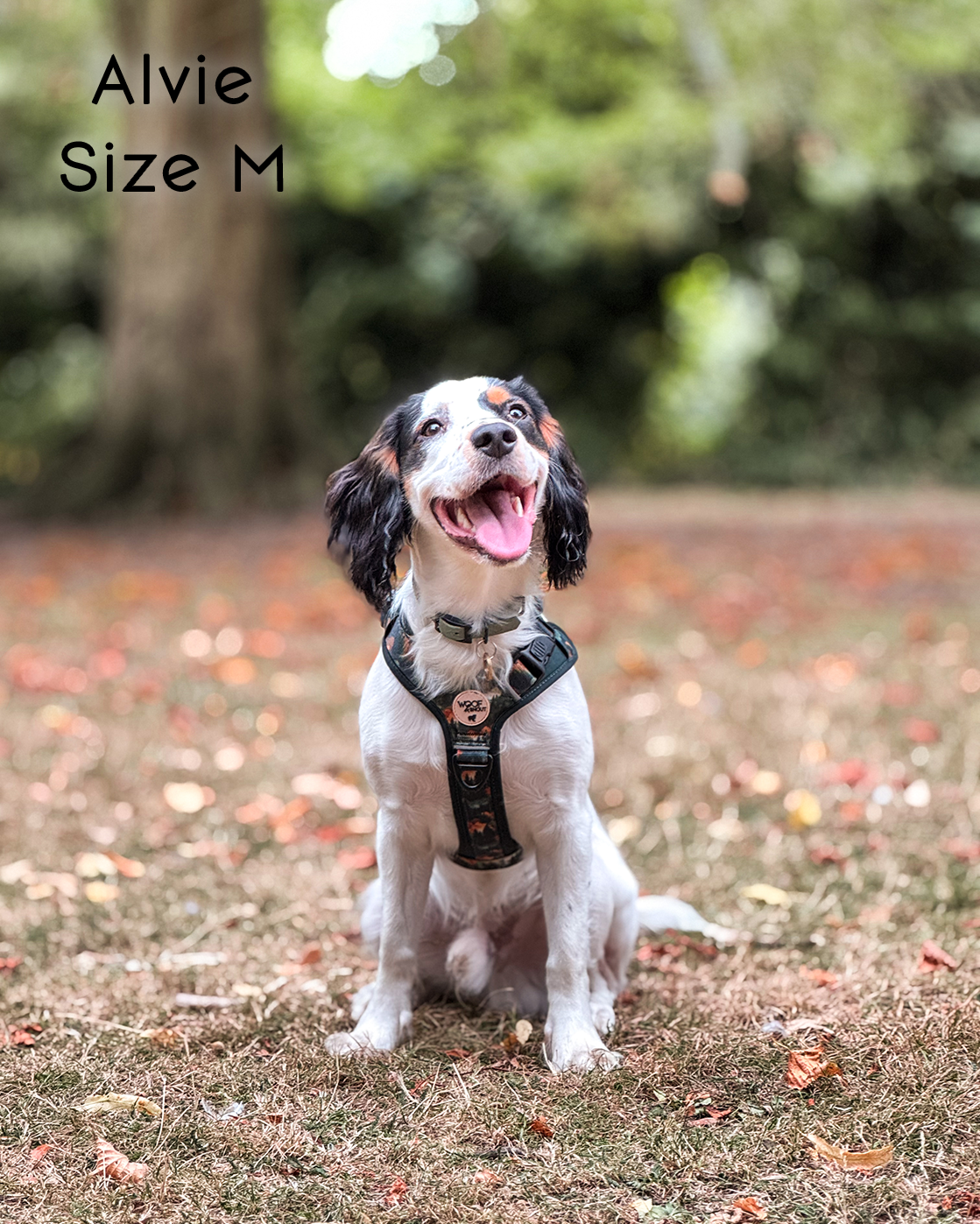 Ember Moors Explor-Air Dog Harness
