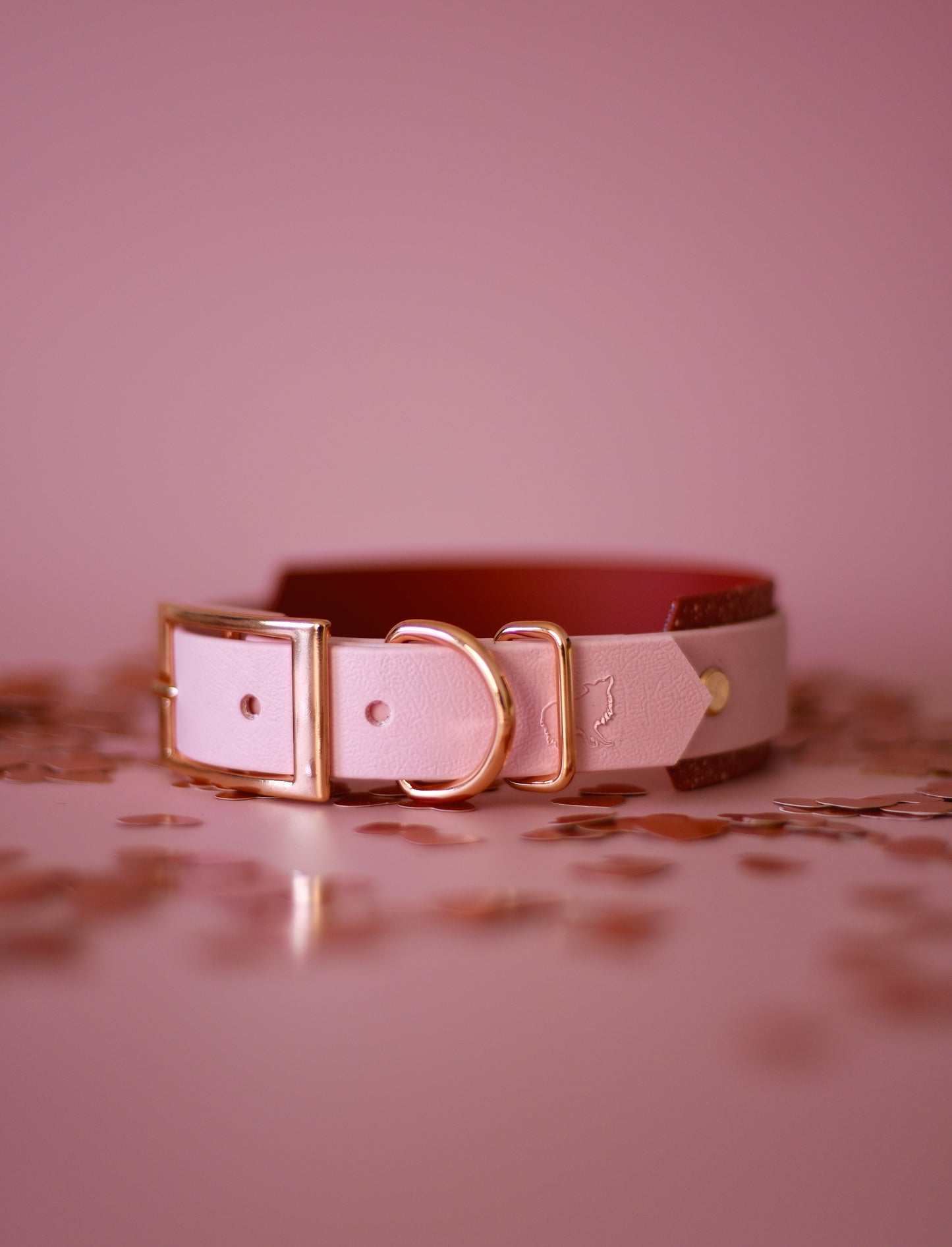 Pawsitively Yours Hound Explorer Collar