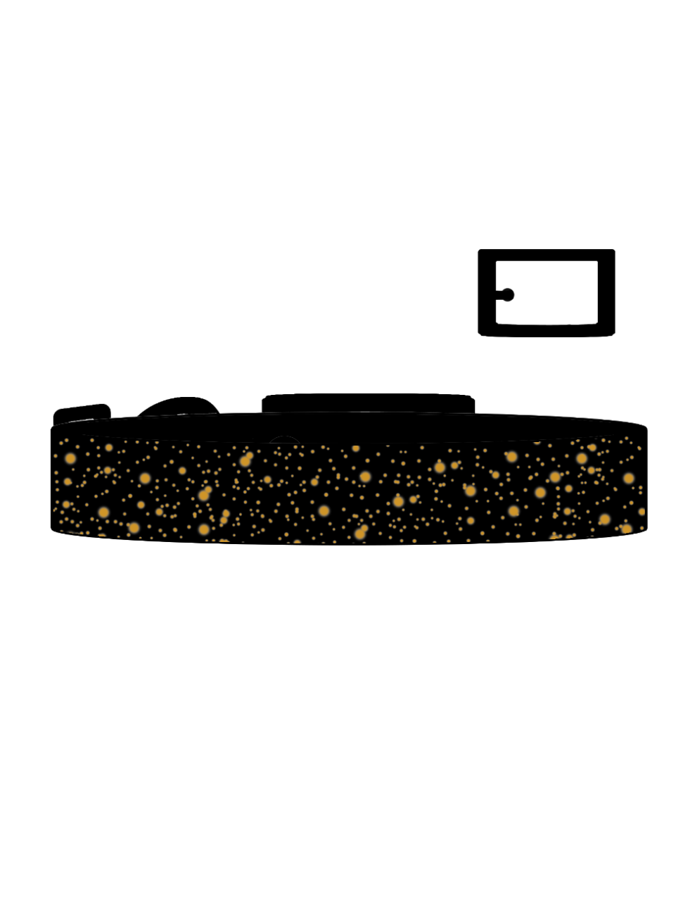 Eclipse x Gold SS Explorer Collar (B)