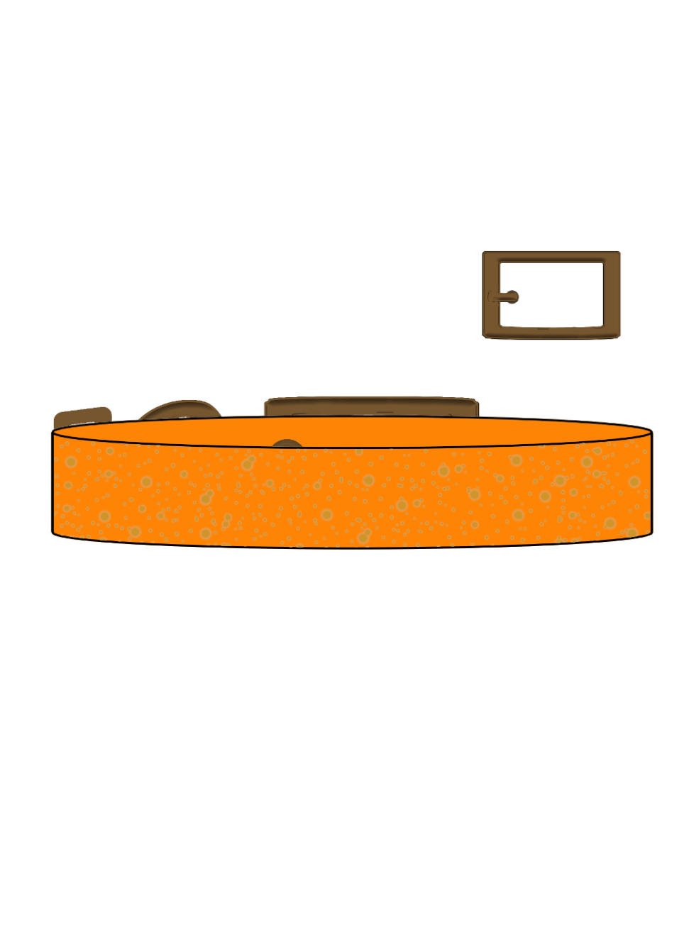 Mango x Gold SS Explorer Collar (A)