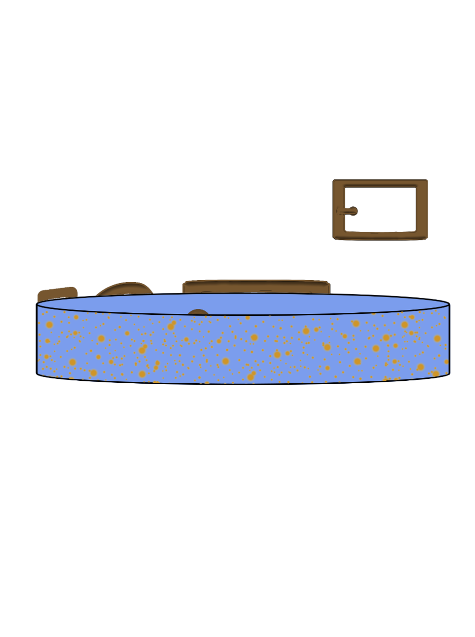 Supernova x Gold SS Explorer Collar (A)