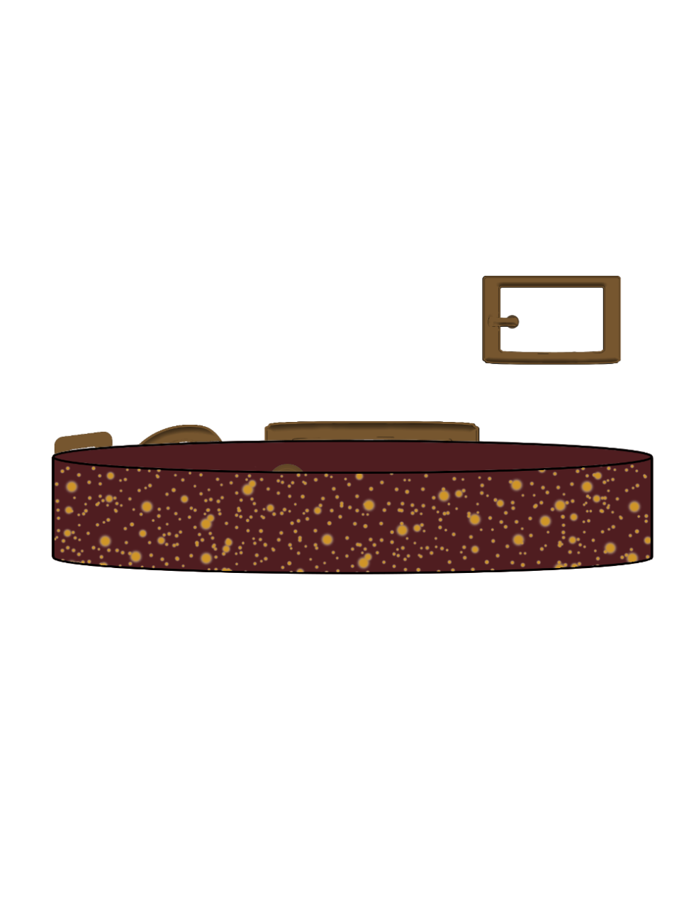 Traditional x Gold SS Explorer Collar (A)