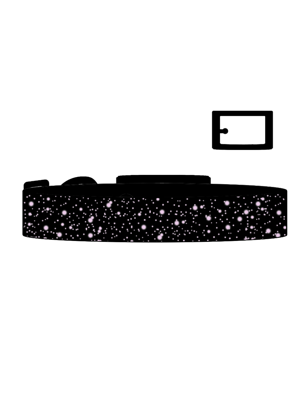 Eclipse x Lilac SS Explorer Collar (B)