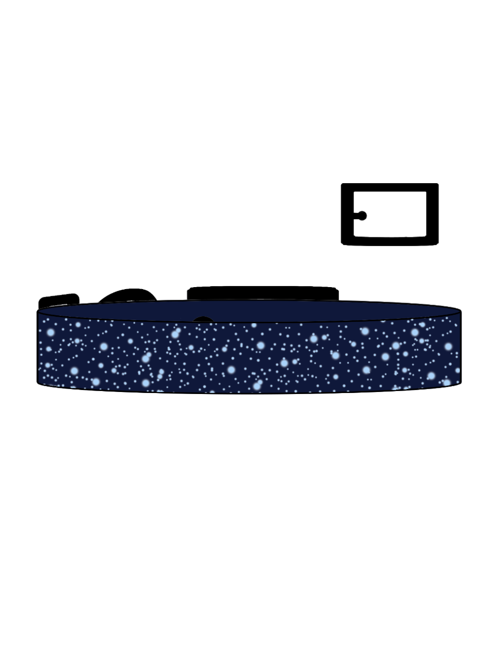 Cosmos x Polar Ice SS Explorer Collar (B)