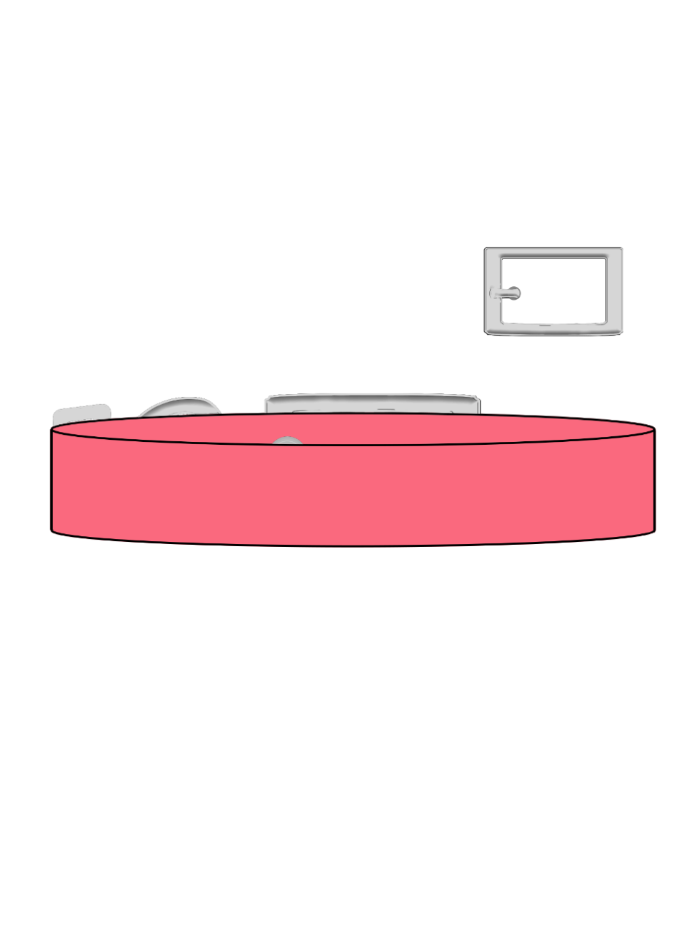 Coral - Explorer Collar