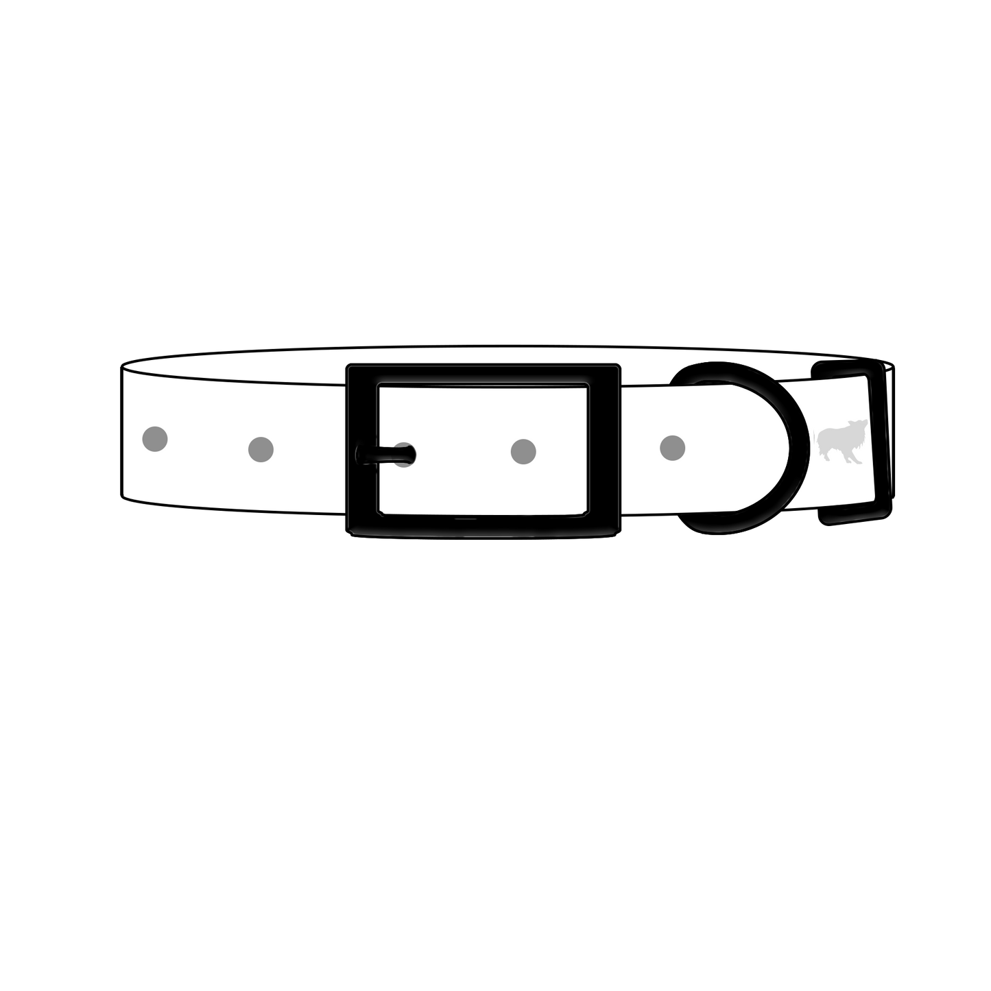 Design Your Own Collar