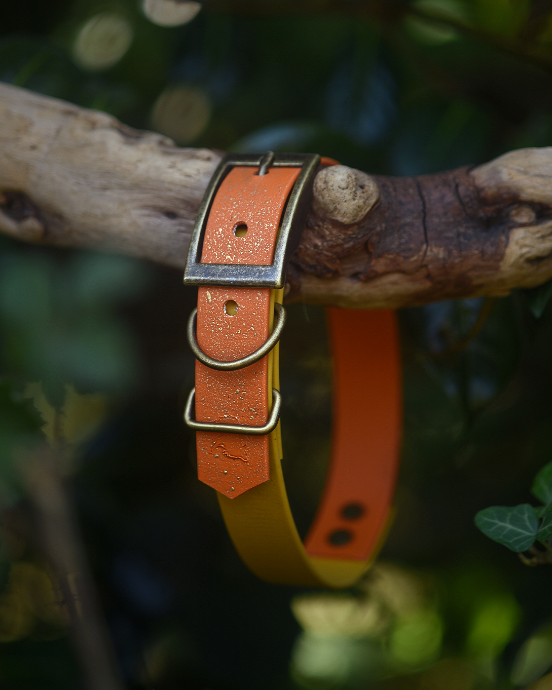 Topaz Tales - S&Sp Dog Collar