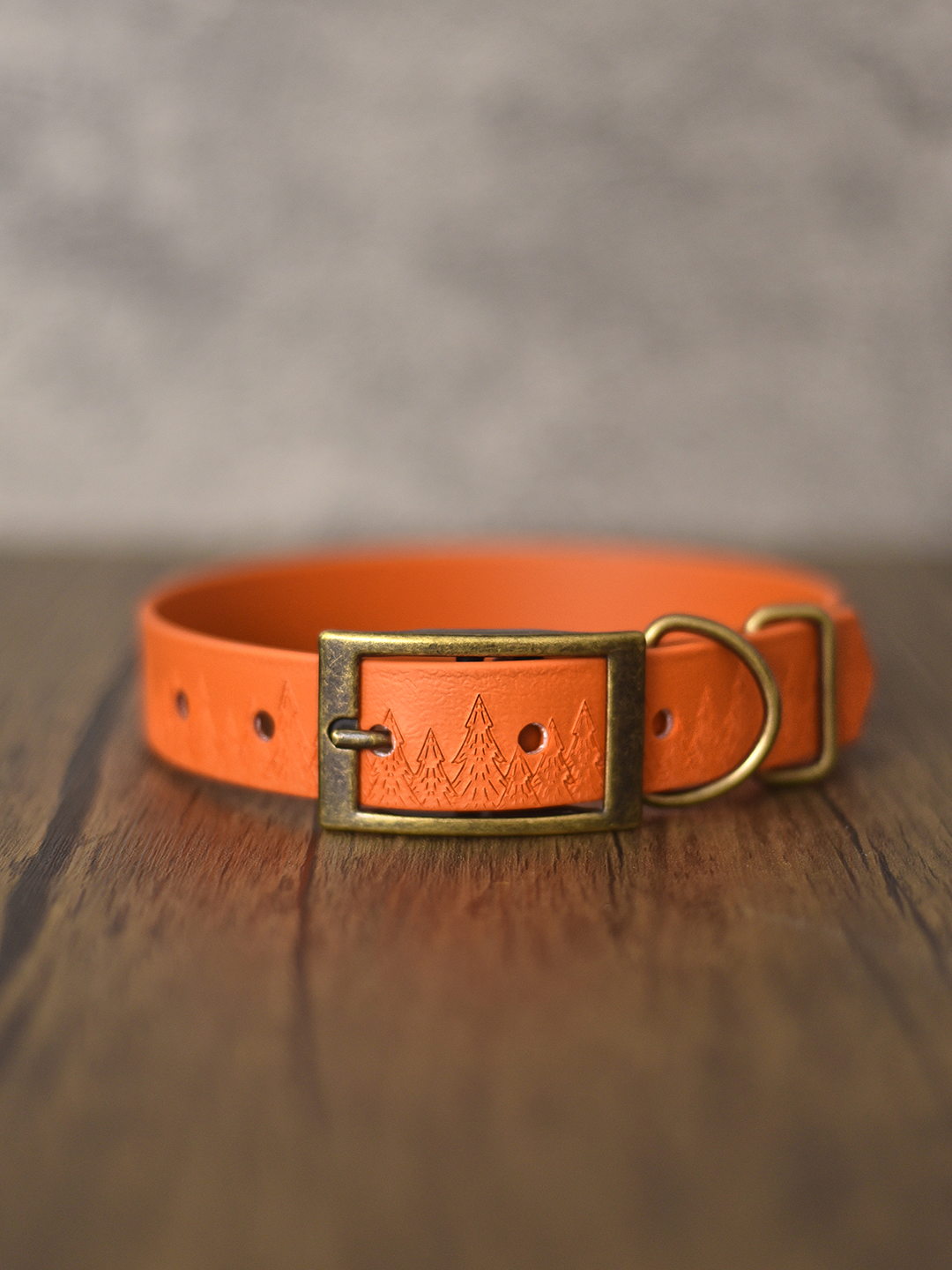 Forest Haven (Ember Moors) - Embossed Explorer Collar
