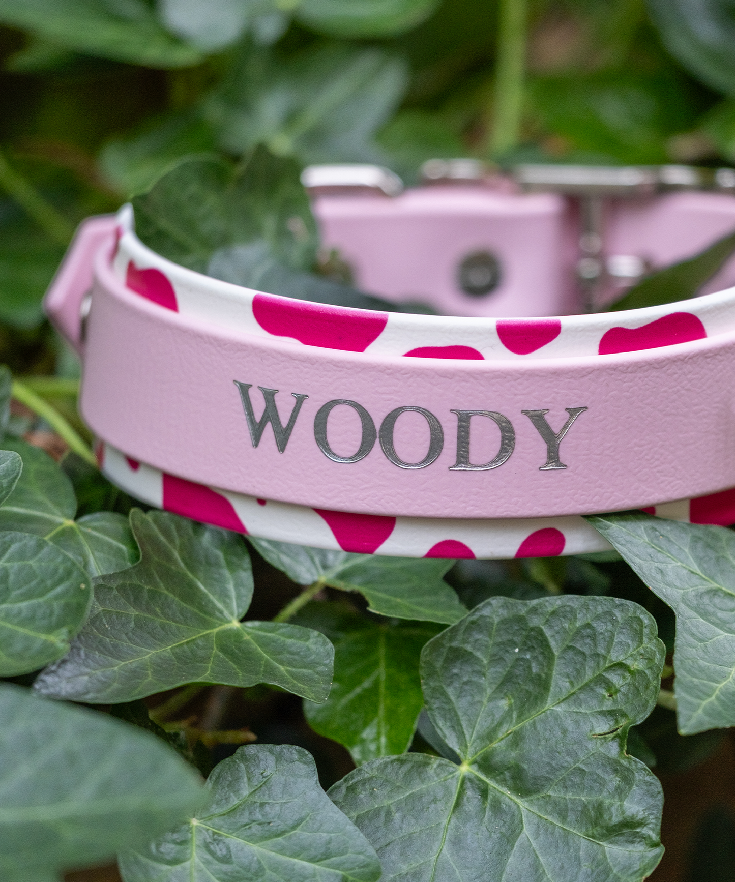 Yee-Haw! - Embossed Hound Collar