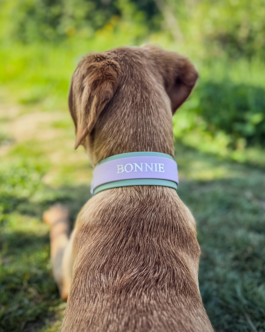 The Bonnie