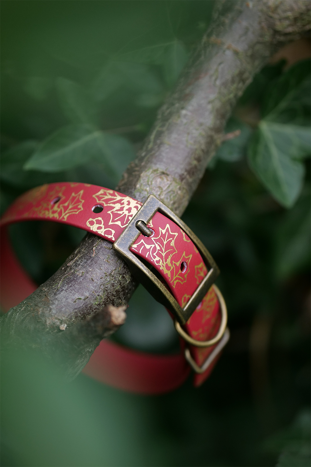 Holly Bush - Foil Embossed Explorer Collar