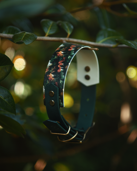 Ember Moors - Explorer Hound Collar