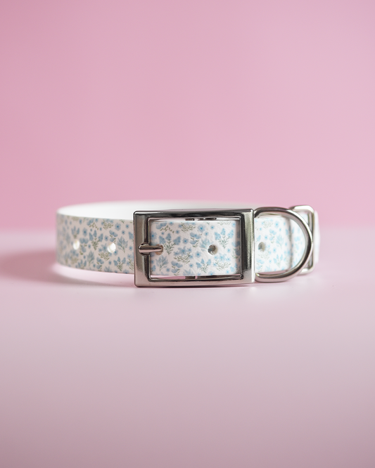 Memory Lane - Explorer Collar