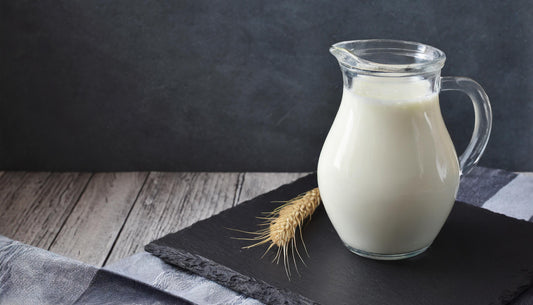 Kefir Milk - a nutritious powerhouse for dogs!