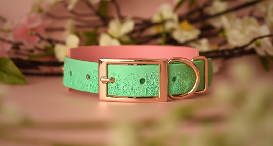 Floral embossed Biothane dog collar featuring a soft green strap with detailed botanical embossing, paired with a blush pink backing and finished with rose gold hardware, styled with spring blossoms.