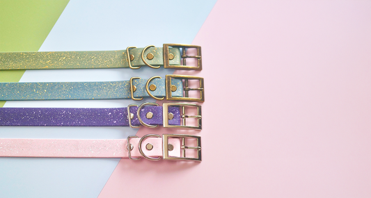 Why Biothane Beats Leather for Winter Walks (An Honest Comparison From a UK Brand)