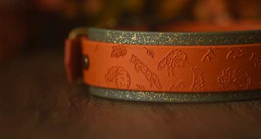 Foxes Glade Hound Collar from Biothane featuring dark topaz burnt orange and dusky moss green backing
