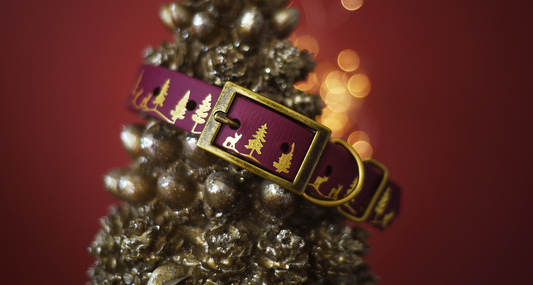 Merlot single-band Fawn Hollow foil embossed Biothane dog collar with antique hardware draped over a golden tree ornament against a red festive gradient glow background.