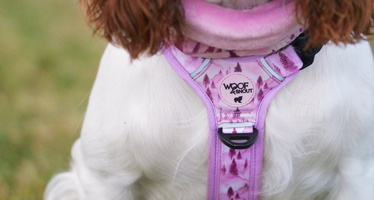 Developing our Explor-Air Harness - Comfort, Fit & Freedom