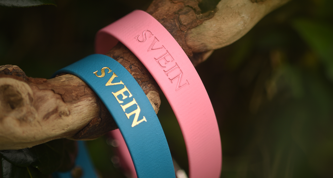 Personalised Dog Name Collars: More Than a Gift, A Story You Wear
