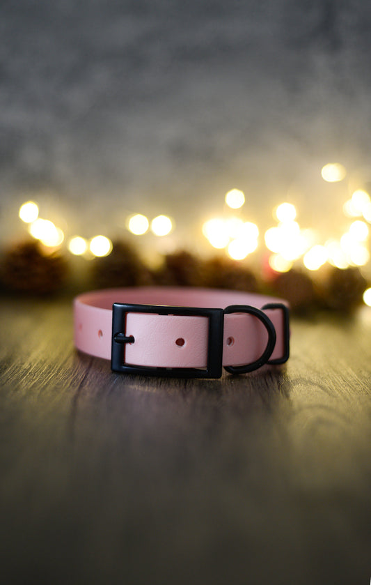 Sorbet - Biothane Dog Collar (Waterproof)