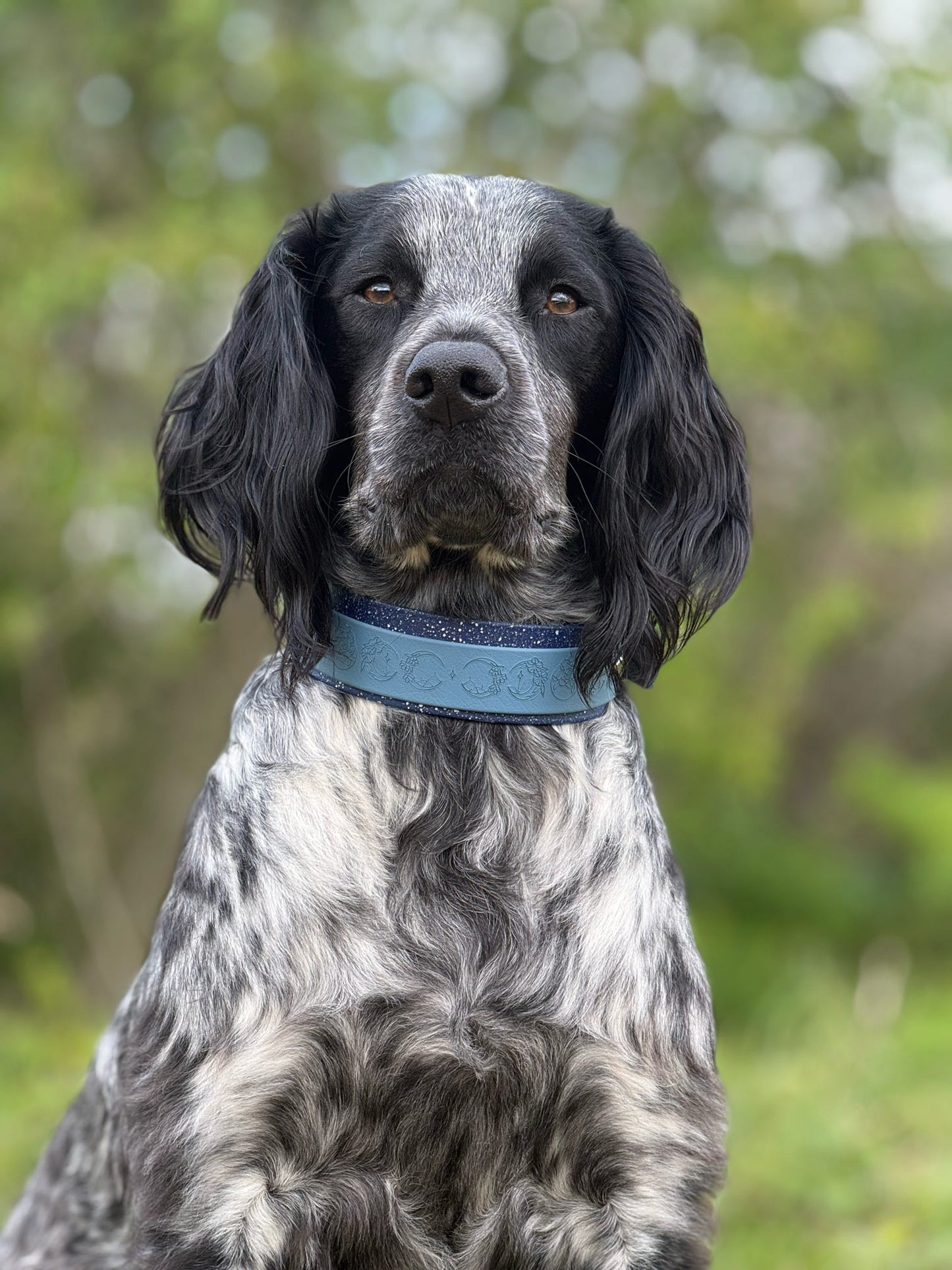Lunar Moons - Embossed Hound Collar
