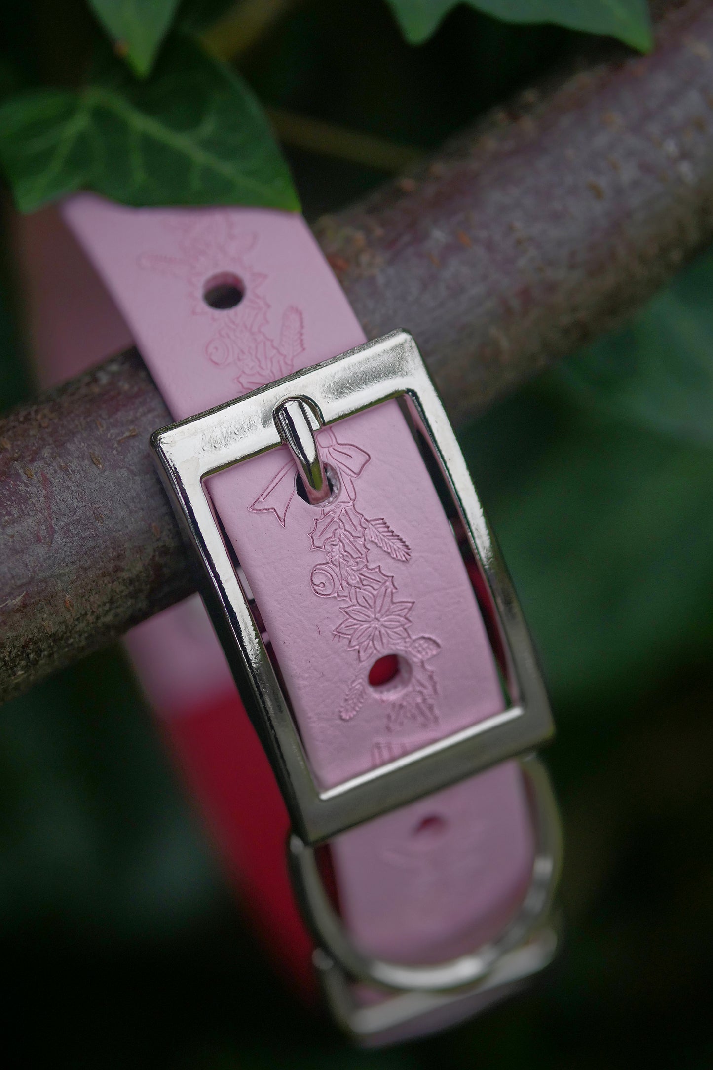 Yuletide - Embossed Arrow Collar