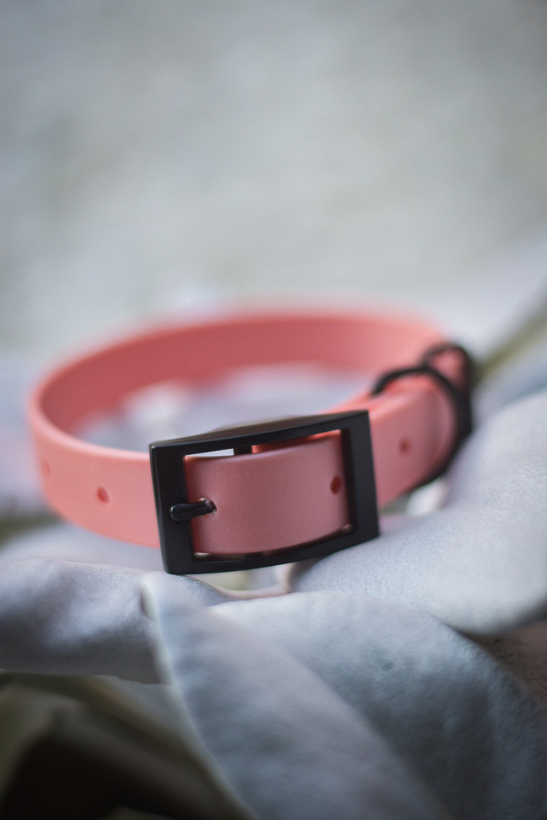 Sorbet - Biothane Dog Collar (Waterproof)