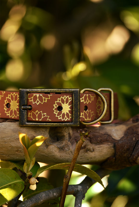 DYO Sunflower Meadow - Foil Embossed Explorer Collar