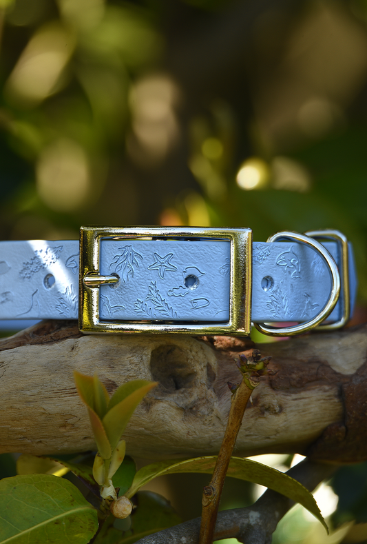 Arctic Adventure - Embossed Explorer Collar