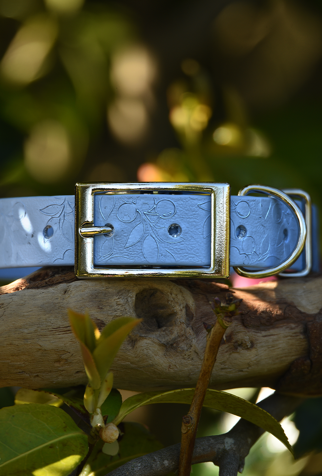DYO Berrylicious - Embossed Explorer Collar