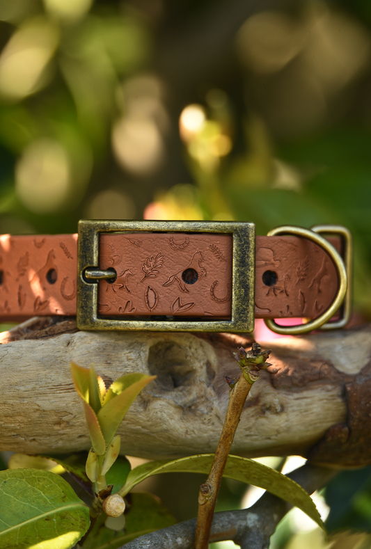 DYO Howdy Pawtner - Embossed Explorer Collar