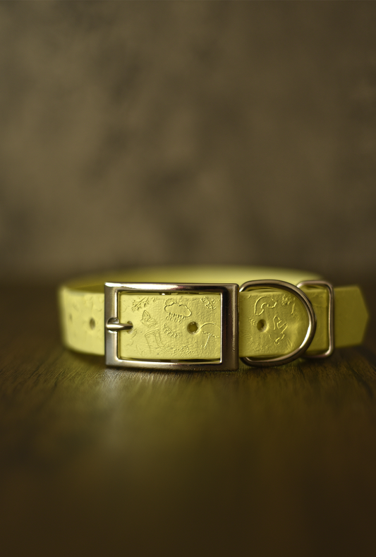 Silly Goose - Embossed Explorer Collar