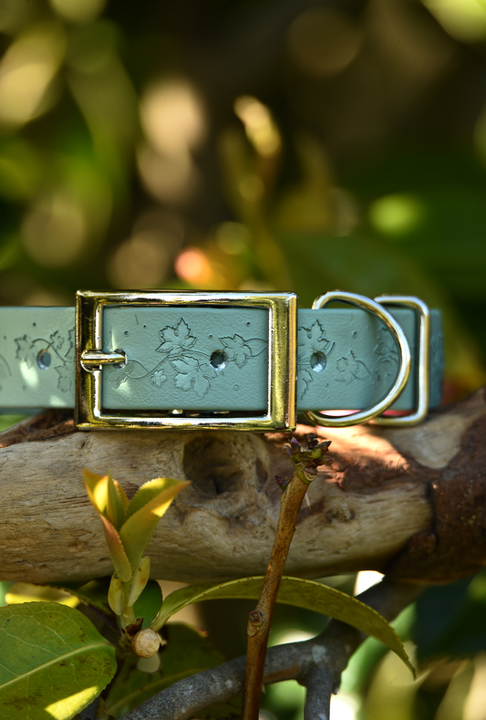 Vine and Dandy - Embossed Explorer Collar
