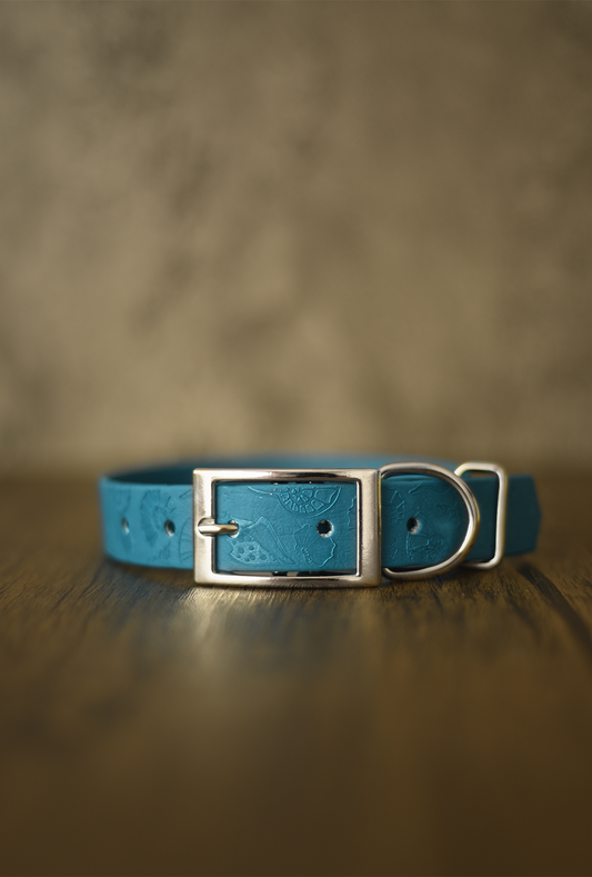 DYO Seashell Sands - Embossed Explorer Collar