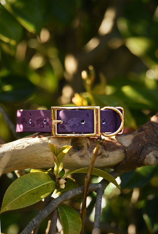 DYO Mushroom Grove - Embossed Explorer Collar