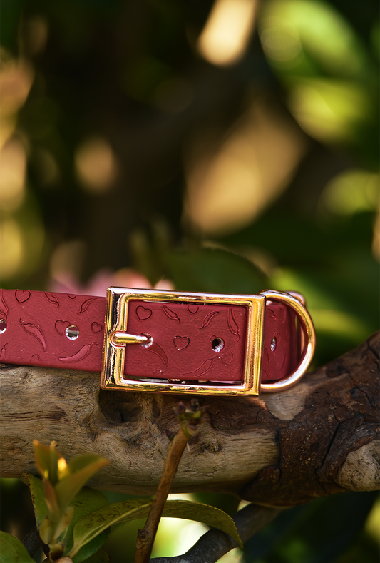 DYO Sweet and Spicy - Embossed Explorer Collar