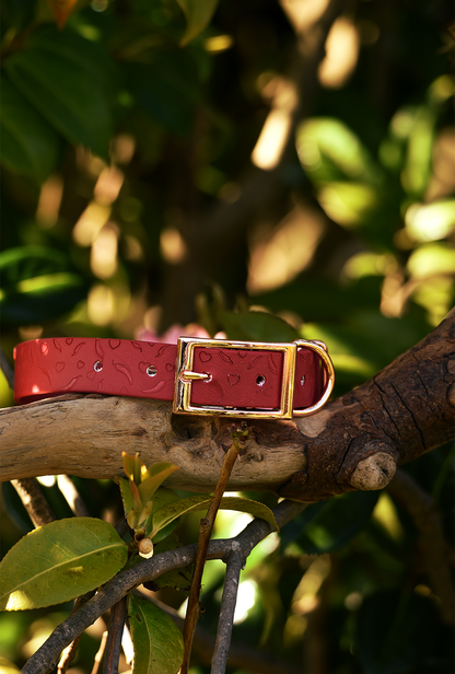 DYO Sweet and Spicy - Embossed Explorer Collar